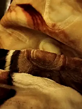 yhona darling online show from 12/16/25, 05:18