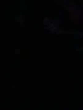 Snapshot of avans_15 chatting on 05/14/26, 12:06 avans 15 online show from 05/14/26, 12:06
