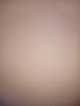 bustybillies online show from 12/03/25, 03:58