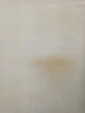 Rina777o online show from 03/07/25, 06:11