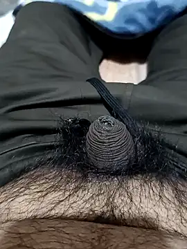 Snapshot of punjabimunda28 chatting on 01/27/25, 04:52 punjabimunda28 online show from 01/27/25, 04:52