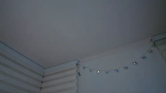 Snapshot of venusleroy_ chatting on 04/07/26, 11:37 venusleroy online show from 04/07/26, 11:37