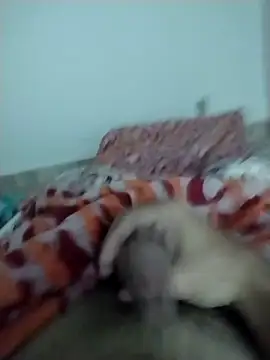 Snapshot of lm279 chatting on 02/13/25, 05:33 lm279 online show from 02/13/25, 05:33