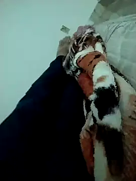 Snapshot of lm279 chatting on 02/14/25, 03:47 lm279 online show from 02/14/25, 03:47