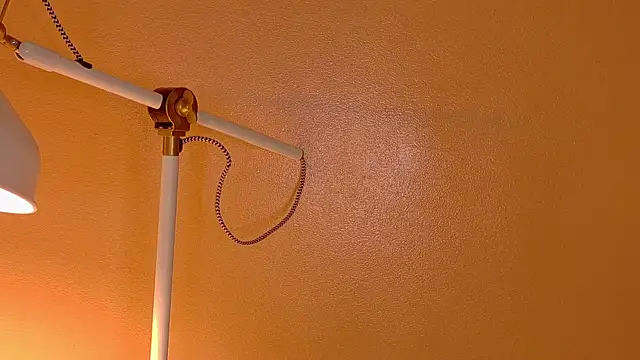 ParisFox  online show from 12/20/25, 01:12