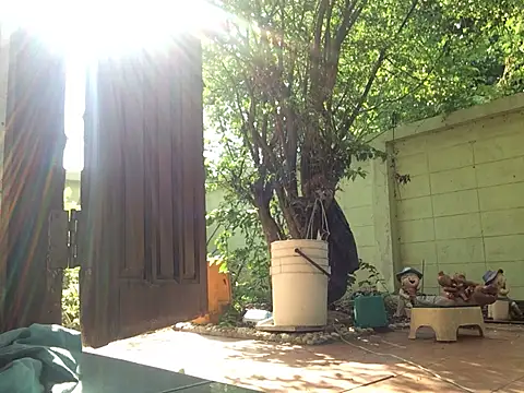 Snapshot of scottish068 chatting on 03/14/25, 01:59 scottish068 online show from 03/14/25, 01:59