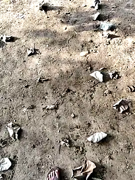 Ishan003 online show from 09/12/25, 01:38