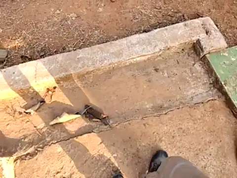 Ishan003 online show from 02/15/26, 10:36