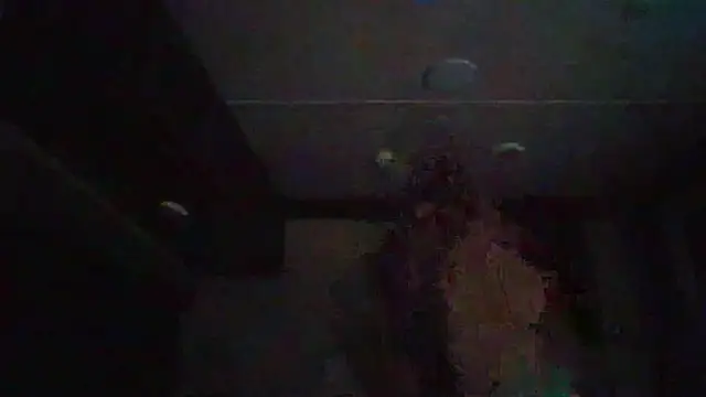 Cobra500hp online show from 02/11/26, 03:44