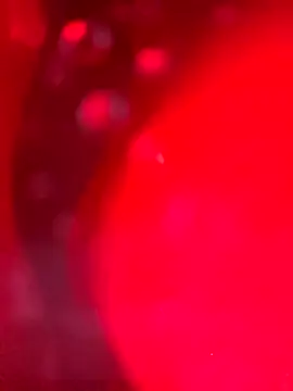 Cobra500hp online show from 03/28/26, 07:19