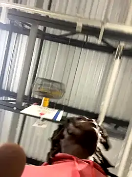 Snapshot of sneakylink13__ chatting on 10/20/25, 01:17 sneakylink13   online show from 10/20/25, 01:17