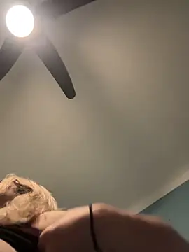 Annelibre online show from 11/14/25, 10:07