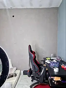 Snapshot of luuhcat09 chatting on 11/13/25, 01:04 luuhcat09 online show from 11/13/25, 01:04