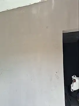 Snapshot of luuhcat09 chatting on 11/25/25, 01:11 luuhcat09 online show from 11/25/25, 01:11