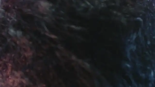 Snapshot of Sofiacowperx chatting on 03/31/26, 12:38 Sofiacowperx online show from 03/31/26, 12:38