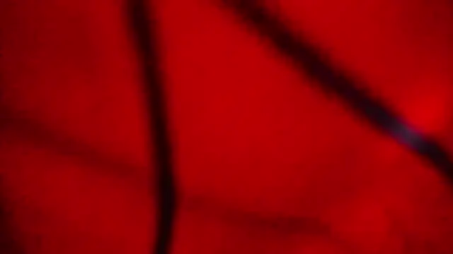 Snapshot of Nathaly_love96 chatting on 02/20/26, 07:47 Nathaly love96 online show from 02/20/26, 07:47