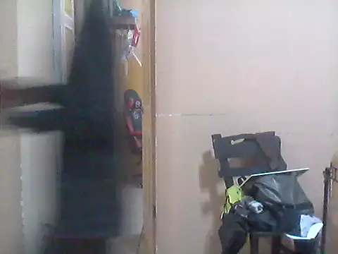Snapshot of _Dmente_ chatting on 10/17/25, 06:05  Dmente  online show from 10/17/25, 06:05