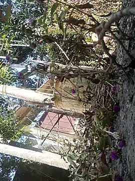 AssamSilchar93 online show from 02/07/26, 06:17