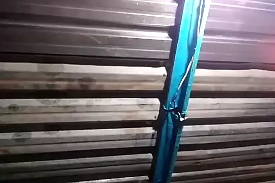 bull Giant online show from 12/01/24, 09:48