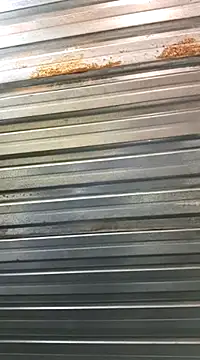 bull Giant online show from 01/30/25, 09:36