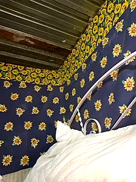 bull Giant online show from 02/03/25, 02:47