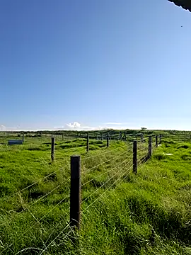 bull Giant online show from 02/22/25, 03:03