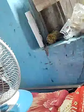 Natasha-In69 online show from 02/06/25, 10:43