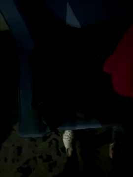 JosephAKenwood online show from 12/02/25, 01:39