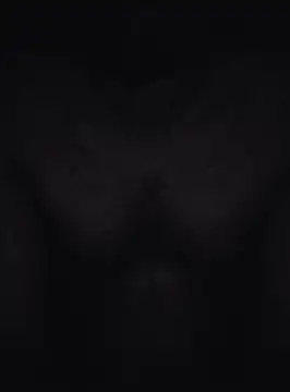 Keshuloveyou online show from 12/20/24, 07:44