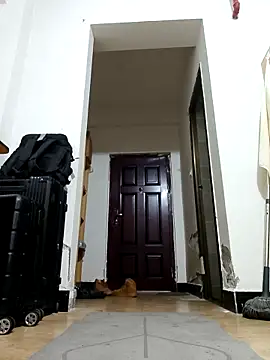 DDYY12341 online show from 11/18/25, 11:58