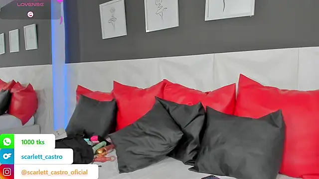 Snapshot of scarlet_castro chatting on 02/18/25, 02:49 scarlet castro online show from 02/18/25, 02:49