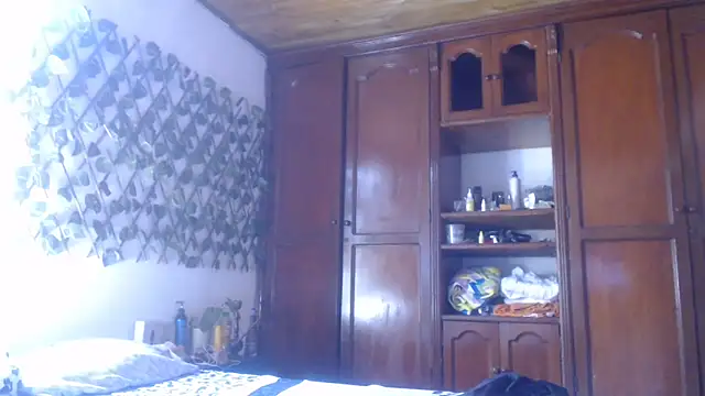 cougar town online show from 01/29/25, 04:52