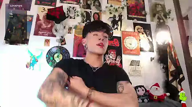 Snapshot of Mathew_stardust chatting on 12/28/24, 02:33 Mathew stardust online show from 12/28/24, 02:33