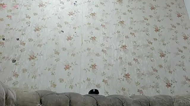 Snapshot of fer_dz chatting on 01/31/25, 11:56 fer dz online show from 01/31/25, 11:56