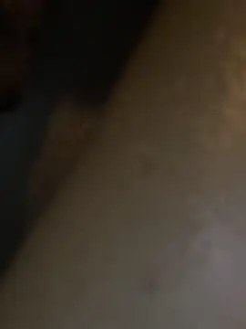 HBYAM online show from 12/30/24, 06:38