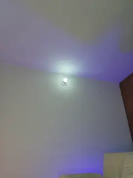 Snapshot of mich_bittersweet chatting on 04/11/26, 11:31 mich bittersweet online show from 04/11/26, 11:31