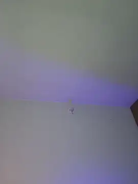 Snapshot of mich_bittersweet chatting on 04/17/26, 11:19 mich bittersweet online show from 04/17/26, 11:19