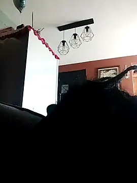 Bola453 online show from 03/02/26, 04:58