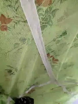 Snapshot of sids0 chatting on 12/09/24, 06:14 sids0 online show from 12/09/24, 06:14