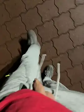 Snapshot of rundum40 chatting on 01/24/25, 07:49 rundum40 online show from 01/24/25, 07:49