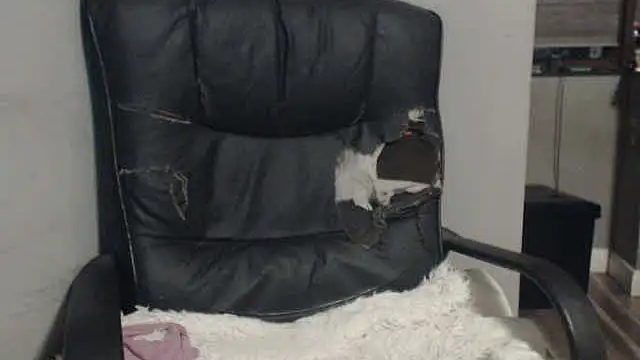 sexyfuckers online show from 11/06/25, 09:37