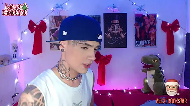 Snapshot of alex_rockstar chatting on 12/14/24, 02:34 alex rockstar online show from 12/14/24, 02:34