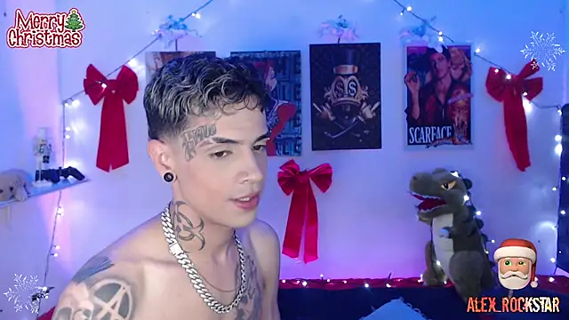 Snapshot of alex_rockstar chatting on 12/21/24, 02:41 alex rockstar online show from 12/21/24, 02:41