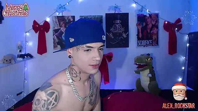 Snapshot of alex_rockstar chatting on 01/03/25, 05:17 alex rockstar online show from 01/03/25, 05:17