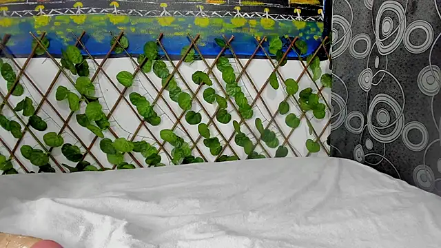 Snapshot of ANEVANS2 chatting on 01/13/25, 02:42 ANEVANS2 online show from 01/13/25, 02:42