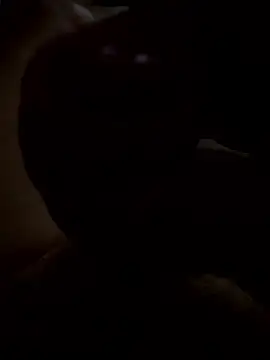 rusken123 online show from 01/15/26, 05:49