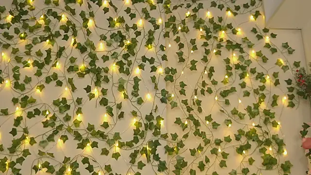 Brenda M00n online show from 01/05/25, 09:25