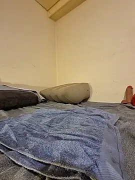 fox--3 online show from 02/10/26, 05:00