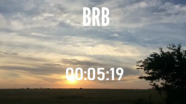 Snapshot of ulmo_br chatting on 11/01/25, 06:10 ulmo br online show from 11/01/25, 06:10