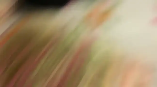 wild x predator online show from 01/10/25, 04:09